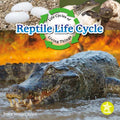 Reptile Life Cycle - Paperback
