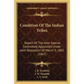 Condition Of The Indian Tribes: Report Of The Joint Special Committee, Appointed Under Joint Resolution Of March 3, 1865 (1867) - Paperback