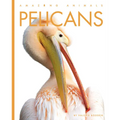 Pelicans - Library Binding