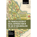 The Financialisation of Social Reproduction in the Age of Neoliberalism: From Theory to Case Studies - Paperback