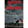 Survive in Business: How to Turn Your Struggling Business Around - Paperback