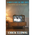 A Boy's Life in the 50's: Growing Up in Florida - Paperback