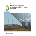 Fossil-Fuel Subsidies in the EU's Eastern Partner Countries - Paperback