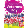 Veterans Day - Library Binding