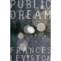 Public Dream - Paperback