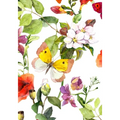 UNDATED DAILY PLANNER & BUSINESS ORGANIZER (Pink Butterfly) - Paperback