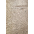 Notebooks: 2010 - 2020 - Paperback