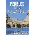 Pebbles from Sulaiman's Mountain - Paperback