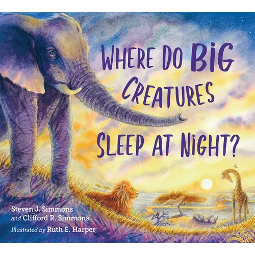 Where Do Big Creatures Sleep at Night? - Hardcover
