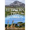 Between Two Worlds - Paperback