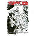 Teenage Mutant Ninja Turtles, Vol. 1: Return to New York--Inked Deluxe Edition - Hardcover