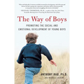 The Way of Boys: Promoting the Social and Emotional Development of Young Boys - Paperback