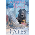 A Perfect Match - Paperback