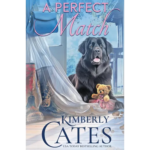 A Perfect Match - Paperback