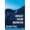 Bright Shiny Morning - Paperback