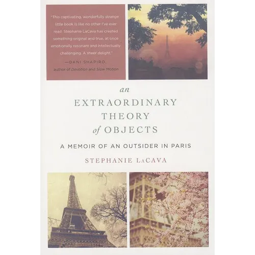 An Extraordinary Theory of Objects - Paperback