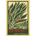 The Ravine - Paperback