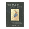 The Tale of Peter Rabbit: Classic Books for Children - Paperback