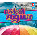 El Ciclo del Agua (the Water Cycle) - Library Binding