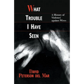 What Trouble I Have Seen: A History of Violence Against Wives - Paperback