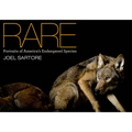 Rare: Portraits of America's Endangered Species - Hardcover