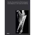Aurelio Amendola for Michelangelo: The Primacy of the Informal - Paperback