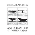 Antechamber: And Other Poems - Paperback