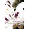 When the Lily Blooms: Reflections to Restore the Heart and Soul - Paperback