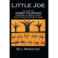 Little Joe - The Story of Josef Filipovic Surviving in a World at War While Fighting Another at Home - Paperback
