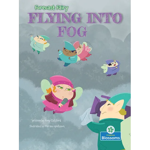 Flying Into Fog - Hardcover