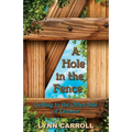 A Hole in the Fence: Getting to the Other Side of Divorce - Paperback