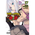 High School DXD, Vol. 17 (Light Novel): Professor Valkyrie - Paperback