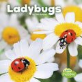 Ladybugs - Paperback