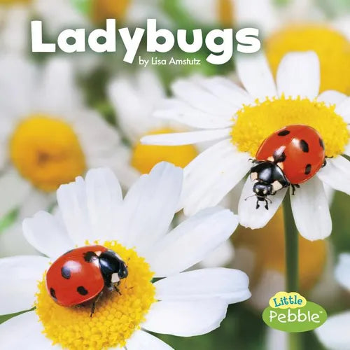 Ladybugs - Paperback