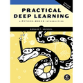 Practical Deep Learning, 2nd Edition: A Python-Based Introduction - Paperback