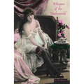 Whispers of the Underworld: Bisbee's Red-Light District - Paperback