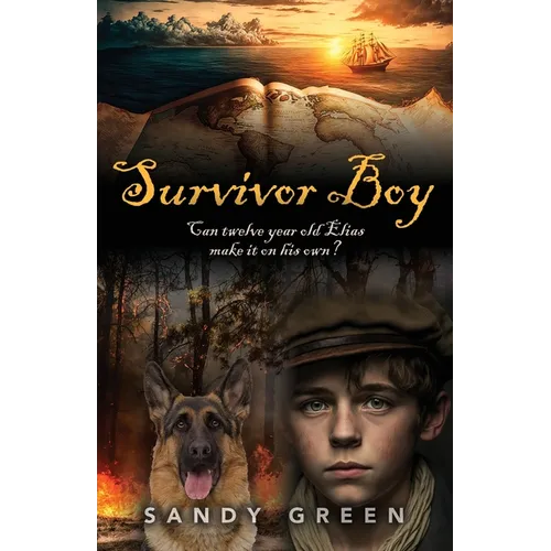Survivor Boy - Paperback