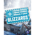 Blizzards - Paperback