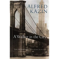 A Walker in the City - Paperback