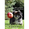More Answers than Questions - Paperback