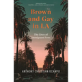 Brown and Gay in LA: The Lives of Immigrant Sons - Hardcover