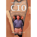 Unwrapping The CIO: Demystifying the Chief Information Officer Position - Paperback