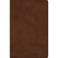 Study Bible-ESV-Personal Size - Imitation Leather