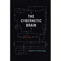 The Cybernetic Brain: Sketches of Another Future - Paperback