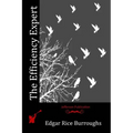 The Efficiency Expert - Paperback
