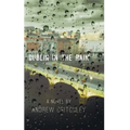 Dublin in the Rain - Hardcover