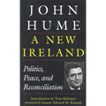 A New Ireland - Paperback