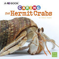 Caring for Hermit Crabs: A 4D Book - Paperback