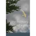 The Memory of Water - Paperback