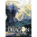 Reincarnated as a Dragon Hatchling (Light Novel) Vol. 12 - Paperback
